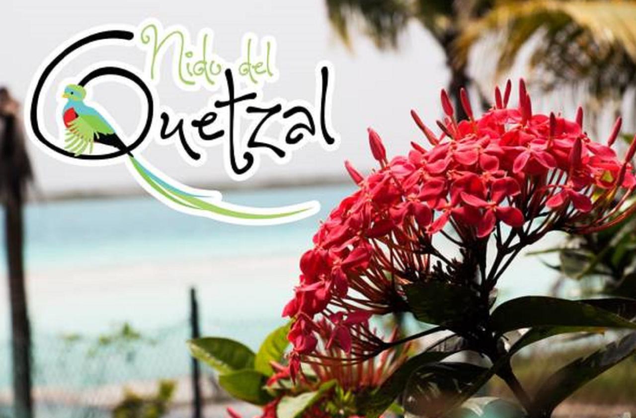 Nido Del Quetzal Hotel Bacalar Eksteriør billede